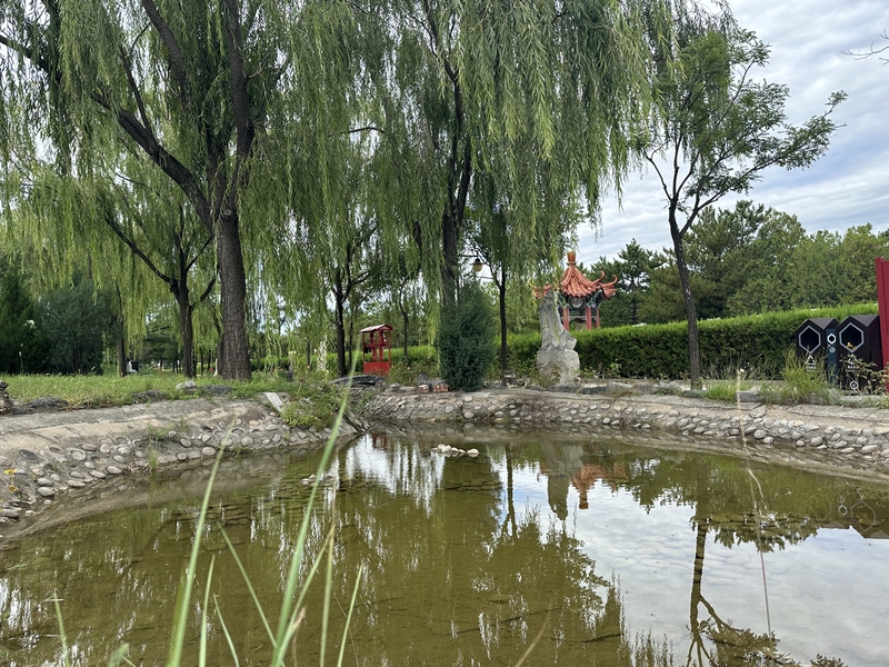 园区水系
